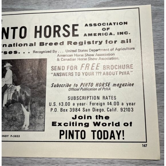 Pinto Horse Breeders Association Vintage Print Ad 1970s Horse Registry San Diego - Picture 5 of 6